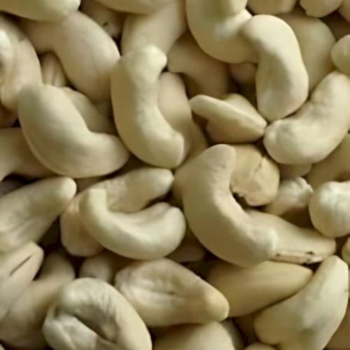 Cashew Nut - PT Agrijaya Abadi Kayaraya