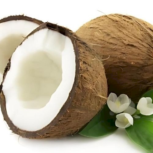 Coconut - PT Agrijaya Abadi Kayaraya