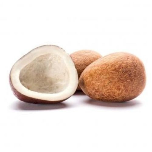 Coconut Copra - PT Agrijaya Abadi Kayaraya