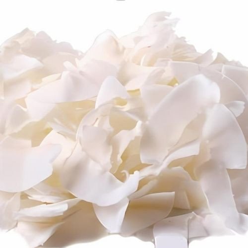 Dehydrated Coconut Chips - PT Agrijaya Abadi Kayaraya