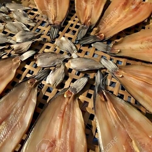 Dried Frish