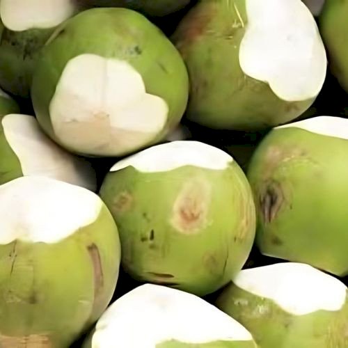 Fresh Coconut