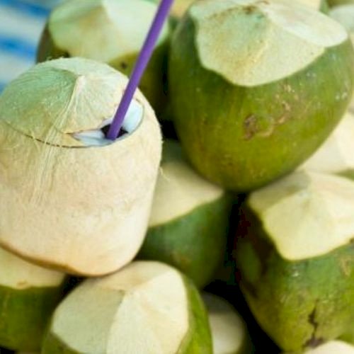 Fresh Coconuts for Commercial Use