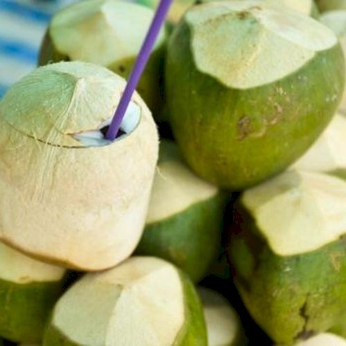 Fresh Coconuts for Commercial Use