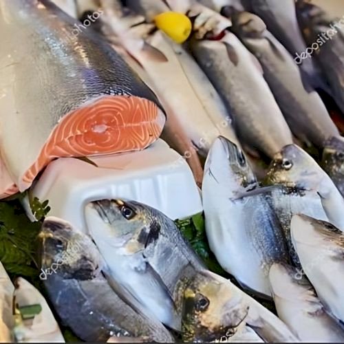 Fresh Fish - PT Agrijaya Abadi Kayaraya