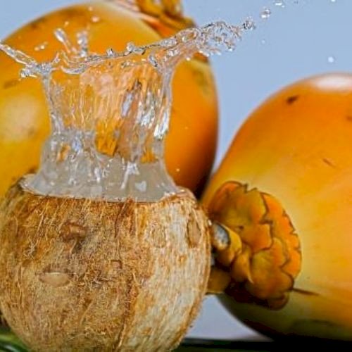 Fresh King Coconut