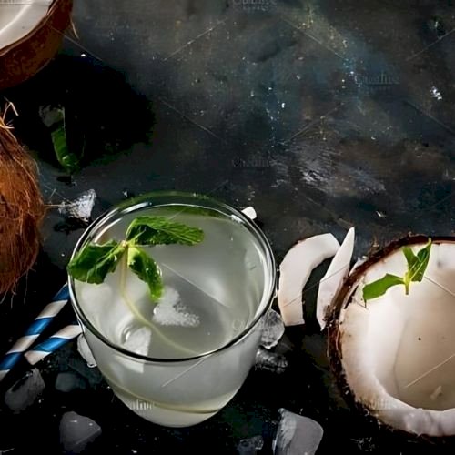 Fresh Organic Coconut - PT Agrijaya Abadi Kayaraya