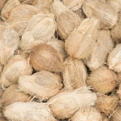 Husked Coconut