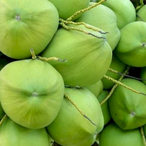 Husked Fresh Coconuts