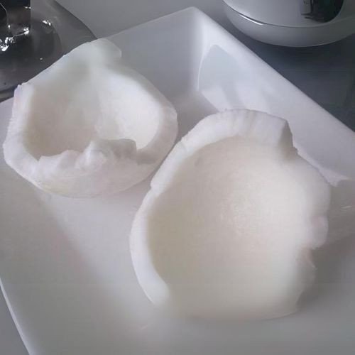 Raw Coco Meat