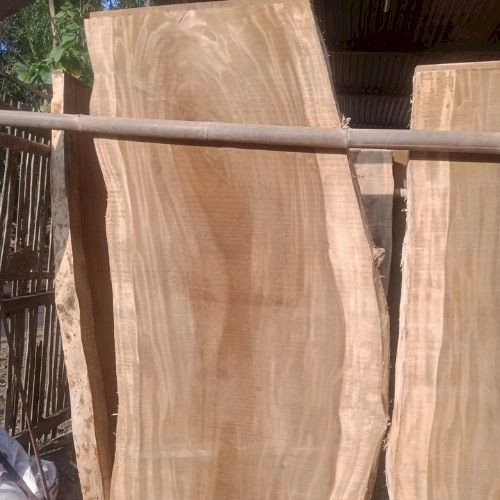 Teak