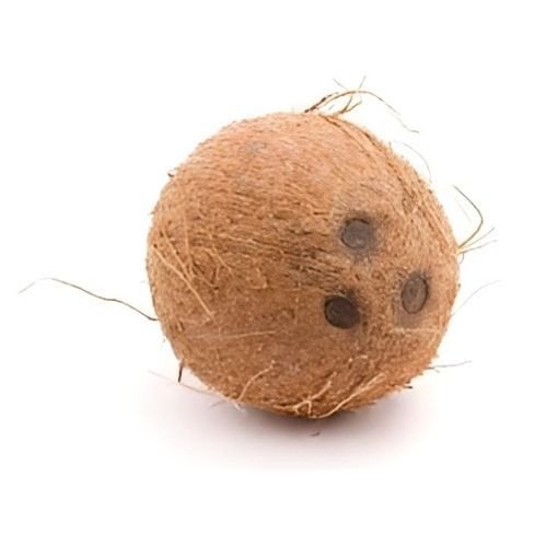 Tufted Coconuts